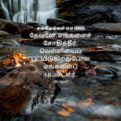 Picture 04 - சங்கீதங்கள் 66:10 TAMIRV - தேவனே, எங்களைச் - Bible Verse Picture