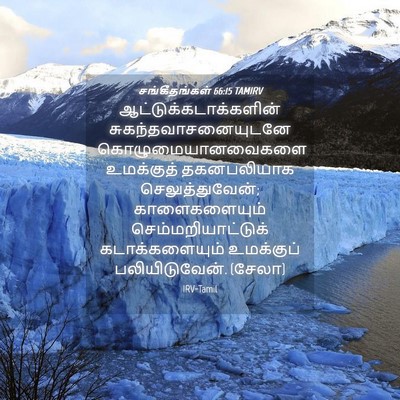 Picture 04 - சங்கீதங்கள் 66:15 TAMIRV -  - Bible Verse Picture