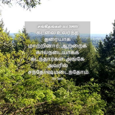 Picture 04 - சங்கீதங்கள் 66:6 TAMIRV - கடலை உலர்ந்த - Bible Verse Picture