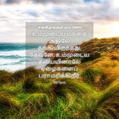 Picture 04 - சங்கீதங்கள் 68:10 TAMIRV - உம்முடைய மந்தை - Bible Verse Picture
