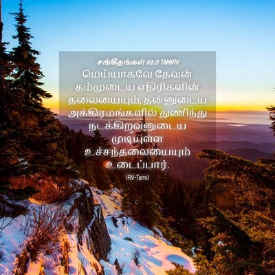 Picture 04 - சங்கீதங்கள் 68:21 TAMIRV - மெய்யாகவே தேவன் - Bible Verse Picture