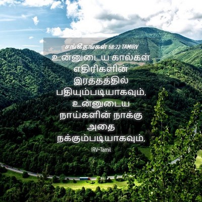 Picture 04 - சங்கீதங்கள் 68:22 TAMIRV - உன்னுடைய கால்கள் - Bible Verse Picture