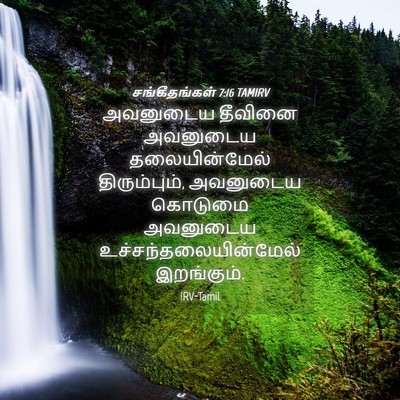 Picture 04 - சங்கீதங்கள் 7:16 TAMIRV - அவனுடைய தீவினை - Bible Verse Picture