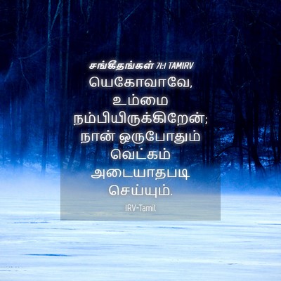 Picture 04 - சங்கீதங்கள் 71:1 TAMIRV - யெகோவாவே, உம்மை - Bible Verse Picture