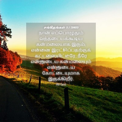 Picture 04 - சங்கீதங்கள் 71:3 TAMIRV - நான் எப்பொழுதும் - Bible Verse Picture