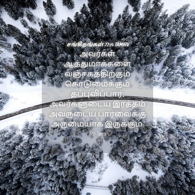 Picture 04 - சங்கீதங்கள் 72:14 TAMIRV - அவர்கள் - Bible Verse Picture