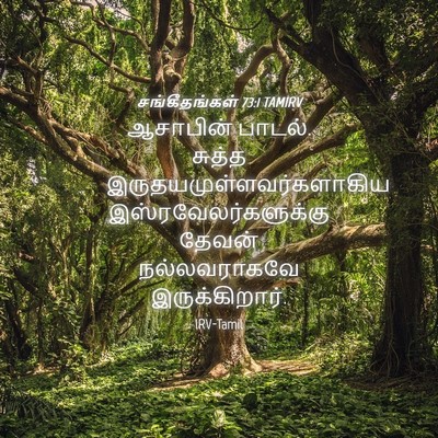 Picture 04 - சங்கீதங்கள் 73:1 TAMIRV - ஆசாபின் பாடல். - Bible Verse Picture