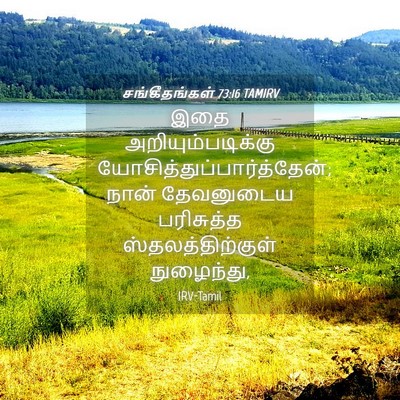 Picture 04 - சங்கீதங்கள் 73:16 TAMIRV - இதை - Bible Verse Picture