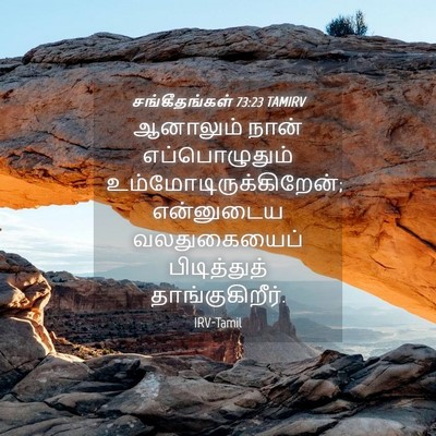 Picture 04 - சங்கீதங்கள் 73:23 TAMIRV - ஆனாலும் நான் - Bible Verse Picture
