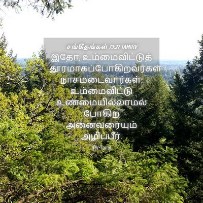Picture 04 - சங்கீதங்கள் 73:27 TAMIRV - இதோ, - Bible Verse Picture