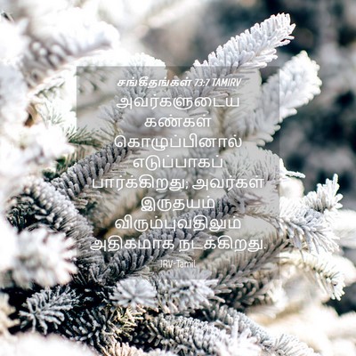 Picture 04 - சங்கீதங்கள் 73:7 TAMIRV - அவர்களுடைய கண்கள் - Bible Verse Picture