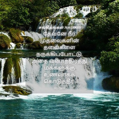 Picture 04 - சங்கீதங்கள் 74:14 TAMIRV - தேவனே நீர் - Bible Verse Picture