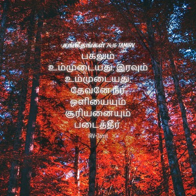Picture 04 - சங்கீதங்கள் 74:16 TAMIRV - பகலும் - Bible Verse Picture