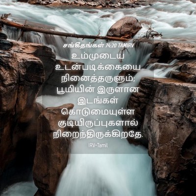 Picture 04 - சங்கீதங்கள் 74:20 TAMIRV - உம்முடைய - Bible Verse Picture