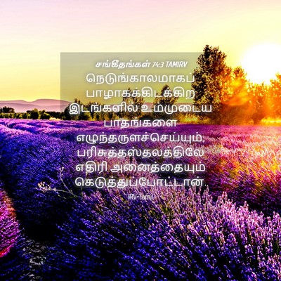 Picture 04 - சங்கீதங்கள் 74:3 TAMIRV - நெடுங்காலமாகப் - Bible Verse Picture
