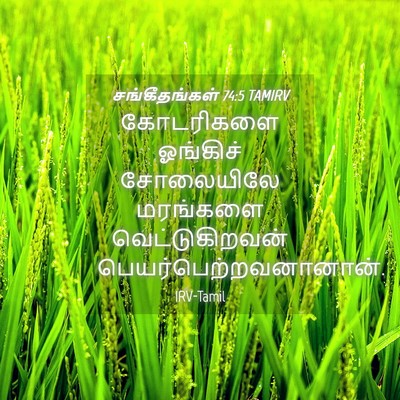 Picture 04 - சங்கீதங்கள் 74:5 TAMIRV - கோடரிகளை ஓங்கிச் - Bible Verse Picture