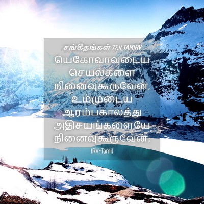 Picture 04 - சங்கீதங்கள் 77:11 TAMIRV - யெகோவாவுடைய - Bible Verse Picture
