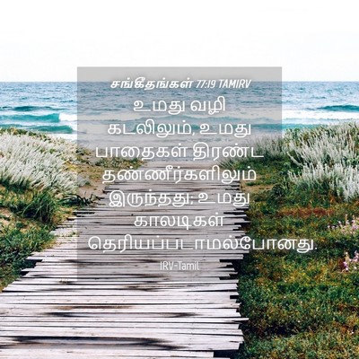 Picture 04 - சங்கீதங்கள் 77:19 TAMIRV - உமது வழி கடலிலும், - Bible Verse Picture