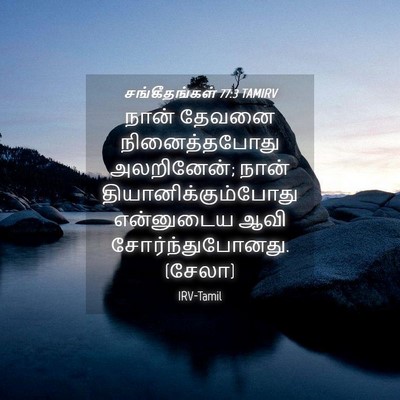 Picture 04 - சங்கீதங்கள் 77:3 TAMIRV - நான் தேவனை - Bible Verse Picture