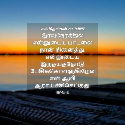 Picture 04 - சங்கீதங்கள் 77:6 TAMIRV - இரவுநேரத்தில் - Bible Verse Picture