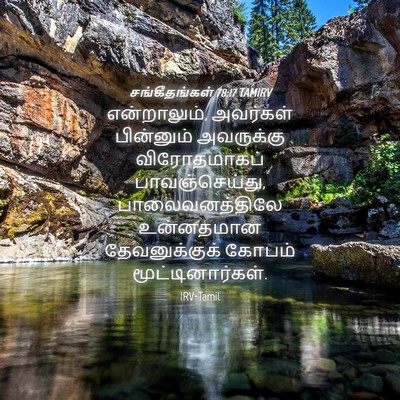 Picture 04 - சங்கீதங்கள் 78:17 TAMIRV - என்றாலும், - Bible Verse Picture