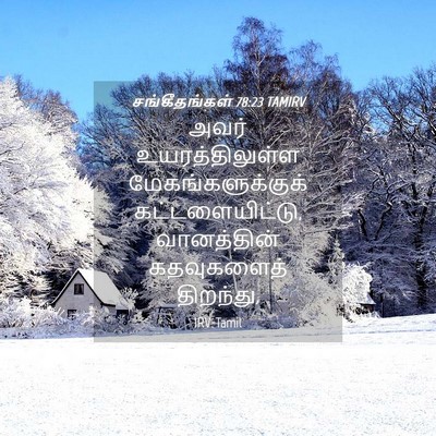 Picture 04 - சங்கீதங்கள் 78:23 TAMIRV - அவர் உயரத்திலுள்ள - Bible Verse Picture