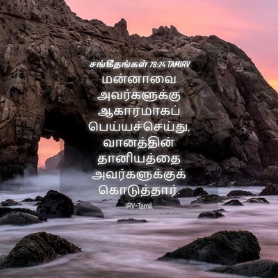 Picture 04 - சங்கீதங்கள் 78:24 TAMIRV - மன்னாவை - Bible Verse Picture
