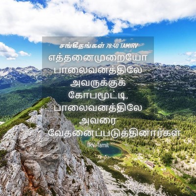 Picture 04 - சங்கீதங்கள் 78:40 TAMIRV - எத்தனைமுறையோ - Bible Verse Picture