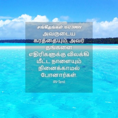 Picture 04 - சங்கீதங்கள் 78:42 TAMIRV - அவருடைய - Bible Verse Picture