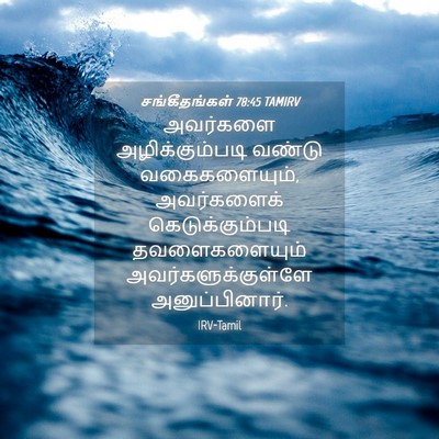 Picture 04 - சங்கீதங்கள் 78:45 TAMIRV - அவர்களை - Bible Verse Picture