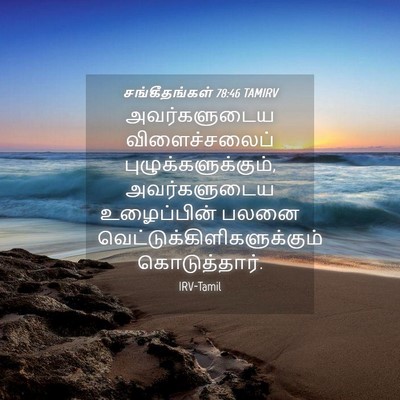 Picture 04 - சங்கீதங்கள் 78:46 TAMIRV - அவர்களுடைய - Bible Verse Picture