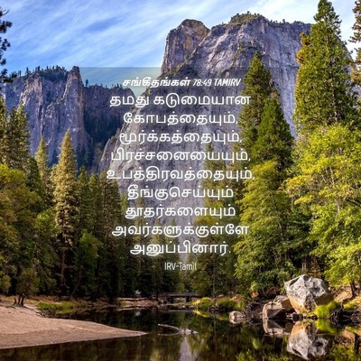 Picture 04 - சங்கீதங்கள் 78:49 TAMIRV - தமது கடுமையான - Bible Verse Picture