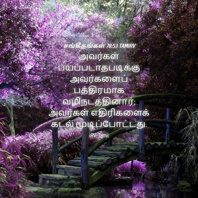 Picture 04 - சங்கீதங்கள் 78:53 TAMIRV - அவர்கள் - Bible Verse Picture