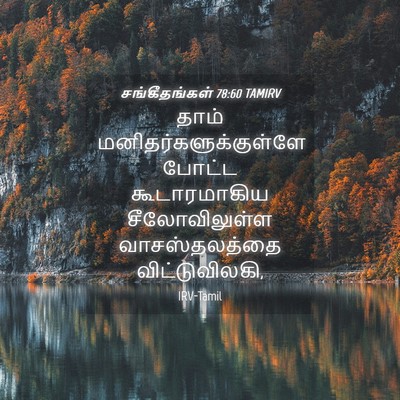 Picture 04 - சங்கீதங்கள் 78:60 TAMIRV - தாம் - Bible Verse Picture