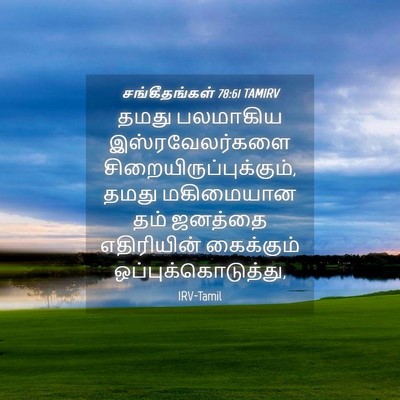 Picture 04 - சங்கீதங்கள் 78:61 TAMIRV - தமது பலமாகிய - Bible Verse Picture