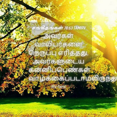 Picture 04 - சங்கீதங்கள் 78:63 TAMIRV - அவர்கள் - Bible Verse Picture