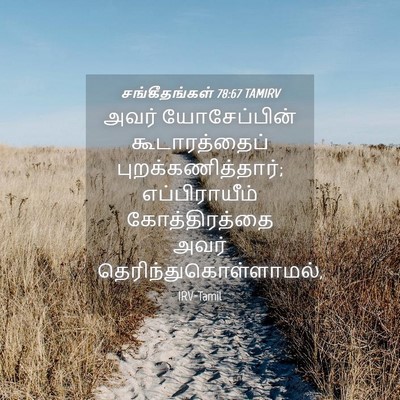 Picture 04 - சங்கீதங்கள் 78:67 TAMIRV - அவர் யோசேப்பின் - Bible Verse Picture