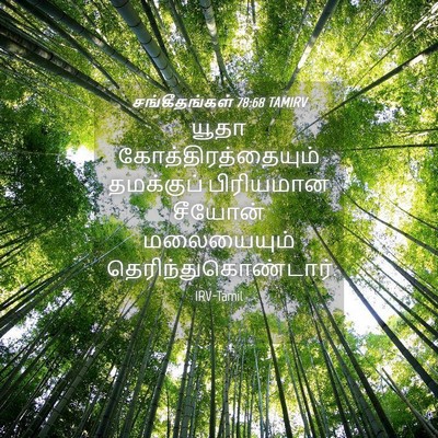 Picture 04 - சங்கீதங்கள் 78:68 TAMIRV - யூதா - Bible Verse Picture