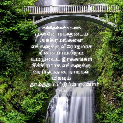 Picture 04 - சங்கீதங்கள் 79:8 TAMIRV - முன்னோர்களுடைய - Bible Verse Picture