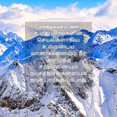 Picture 04 - சங்கீதங்கள் 8:3 TAMIRV - உமது விரல்களின் - Bible Verse Picture