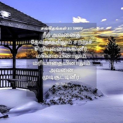 Picture 04 - சங்கீதங்கள் 8:5 TAMIRV - நீர் அவனைத் - Bible Verse Picture