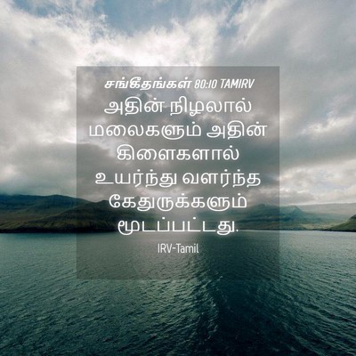 Picture 04 - சங்கீதங்கள் 80:10 TAMIRV - அதின் நிழலால் - Bible Verse Picture