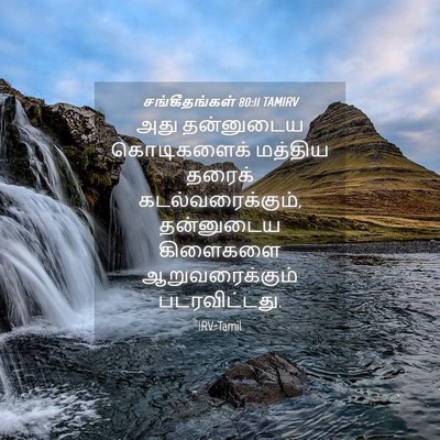 Picture 04 - சங்கீதங்கள் 80:11 TAMIRV - அது தன்னுடைய - Bible Verse Picture