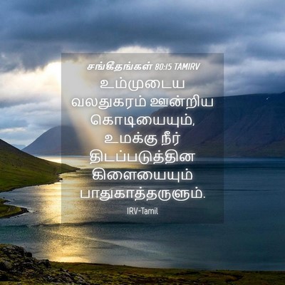 Picture 04 - சங்கீதங்கள் 80:15 TAMIRV - உம்முடைய வலதுகரம் - Bible Verse Picture