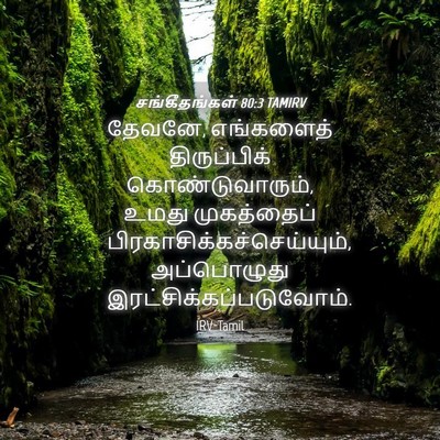 Picture 04 - சங்கீதங்கள் 80:3 TAMIRV - தேவனே, எங்களைத் - Bible Verse Picture