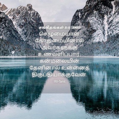 Picture 04 - சங்கீதங்கள் 81:16 TAMIRV - செழுமையான - Bible Verse Picture