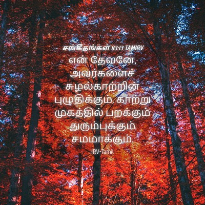 Picture 04 - சங்கீதங்கள் 83:13 TAMIRV - என் தேவனே, - Bible Verse Picture