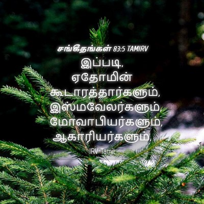 Picture 04 - சங்கீதங்கள் 83:5 TAMIRV - இப்படி, ஏதோமின் - Bible Verse Picture
