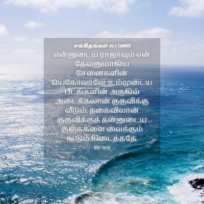 Picture 04 - சங்கீதங்கள் 84:3 TAMIRV - என்னுடைய ராஜாவும் - Bible Verse Picture