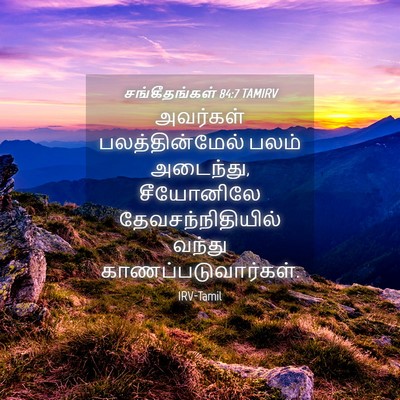 Picture 04 - சங்கீதங்கள் 84:7 TAMIRV - அவர்கள் - Bible Verse Picture